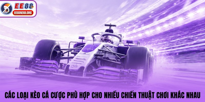 Các loại kèo cá cược phù hợp cho nhiều chiến thuật chơi khác nhau