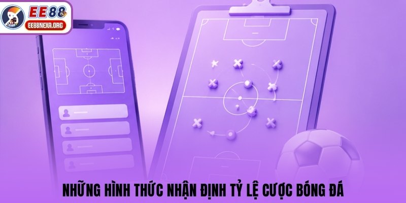 Những hình thức nhận định tỷ lệ cược bóng đá